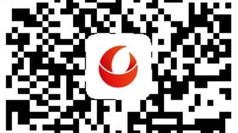范迪克世界杯赔率：深夜恢复训练，顶级球员的日常